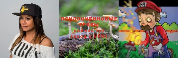мет Нягань