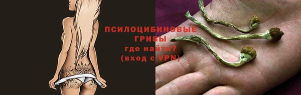 мет Нягань