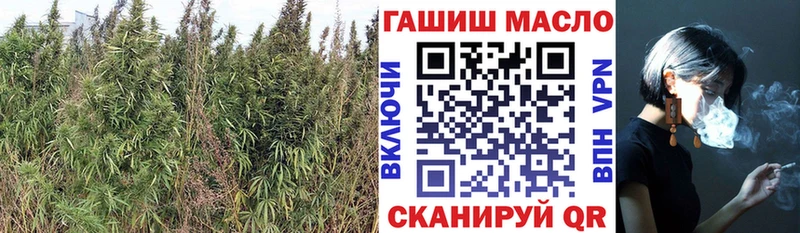 Дистиллят ТГК концентрат Сорск
