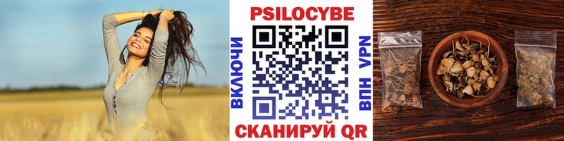 наркотики  Сорск  Галлюциногенные грибы Psilocybe 